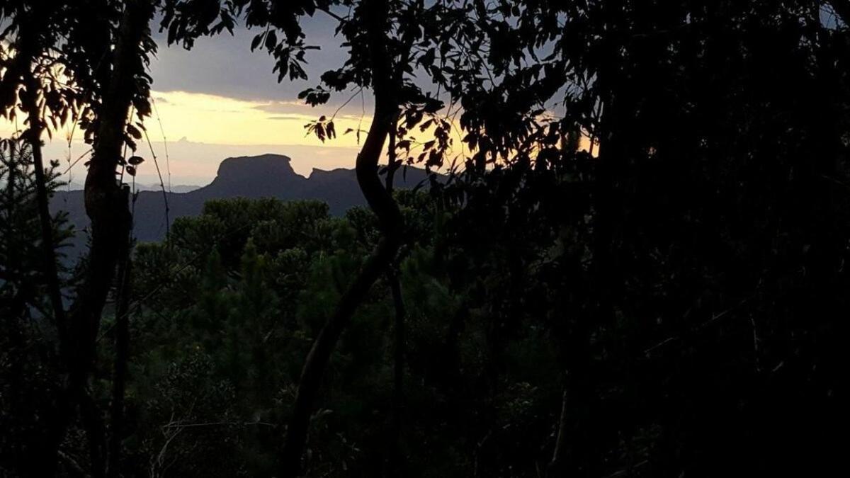 Chale Dos Tucanos- Parede De Vidro Com Linda Vista Campos do Jordão 외부 사진